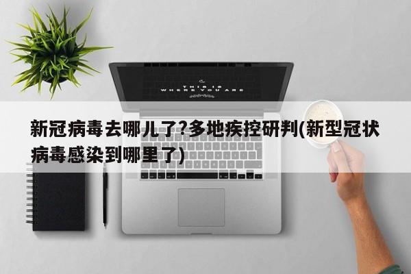 新冠病毒去哪儿了?多地疾控研判(新型冠状病毒感染到哪里了)